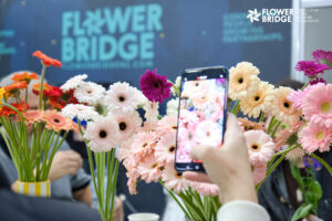 Business Photographer